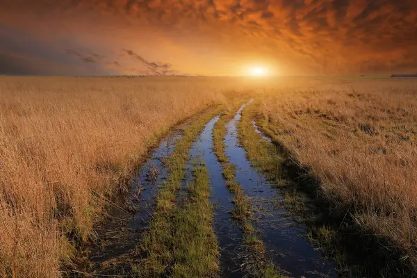 Landscape Flooded Road Evening Steppe Sunset Background Stock Picture