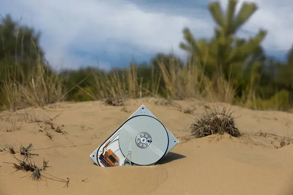 Lost Brocken Computer Hard Disk Sand Meadow Forest — Stock Photo, Image