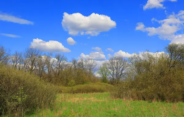 Paisaje Con Pradera Verde Bosque Bonitas Nubes Cielo Azul Imagen de stock
