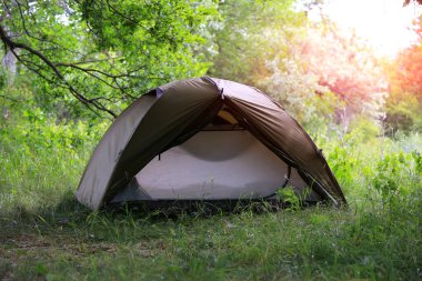 Ormandaki yeşil çayırda turist çadırı