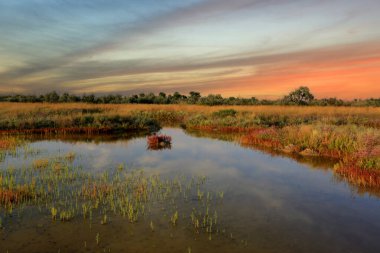 Bozkırdaki küçük gölün üzerinde gün batımlı manzara