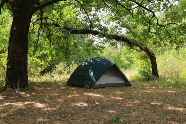 Kamp alanındaki bir açıklıkta ağaçların gölgesinde turist çadırı.