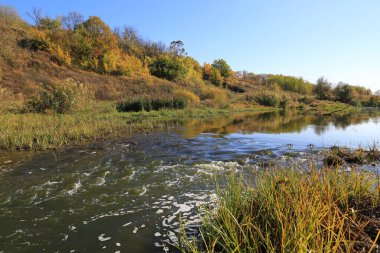Nehirde akıntılı sonbahar manzarası. Ukrayna 'da güneşli bir sonbahar gününde al.