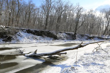 Donmuş nehirdeki yaşlı ölü ağaçla manzara 