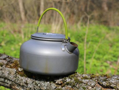 Güneşli ormanda yaşlı turist çaydanlığı.