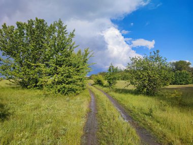 Yeşil çayır boyunca toprak yol yağmurdan sonra