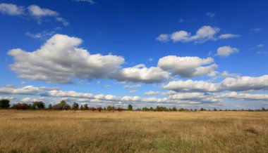 Güzel gökyüzünün altında çayır olan sonbahar manzarası