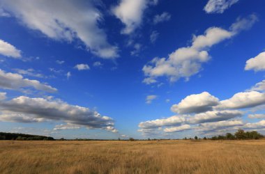 Bozkırda güzel bir sonbahar manzarası mavi gökyüzünün altında bulutlarla