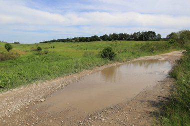 Yağmurdan sonraki yaz gününde kırsal bir yolda su birikintisi