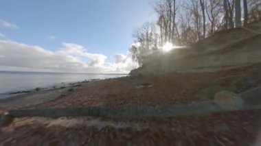 Fpv insansız hava aracı kıyı manzarası kuru yapraklar ve taşlarla kaplı. Uçurumlar arasında yapraksız ağaçlar ve sonbahar sabahı bulutlu mavi gökyüzüne karşı dalgalanan deniz.