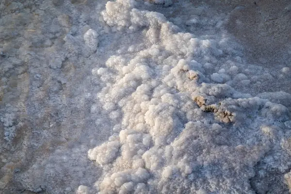 Detaljerad Bild Naturliga Saltkristaller Ackumuleras Stranden Gnistrande Tidig Morgon Ljus Stockbild