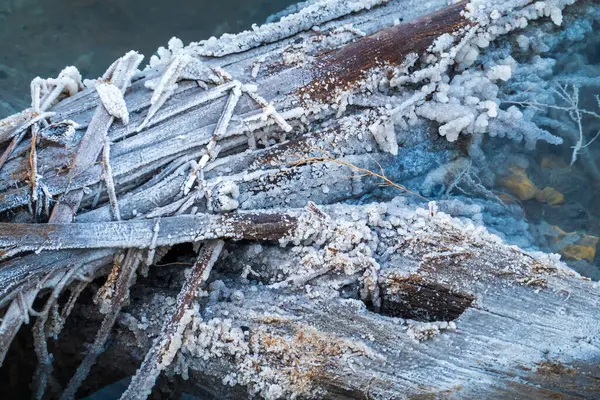 Крупным Планом Видны Ледяные Ветви Толстым Слоем Мороза Покрывающим Установленные Лицензионные Стоковые Изображения