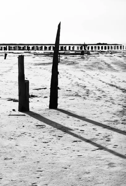 Striking Black White Image Capturing Remains Old Wooden Pier Beach 스톡 사진