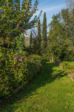 Renkli çiçeklerle çevrili manzaralı bahçe yolu ve berrak mavi gökyüzünün altında yemyeşil ağaçlar, dingin ve canlı bir atmosfer yaratıyor..