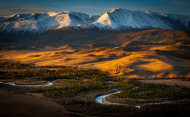 Altai dağlarının karla kaplı tepeleri ve parlak güneş ışığını yansıtan dolambaçlı bir nehri ile nefes kesici sonbahar manzarası..