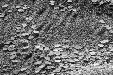 Detailed view of ice crystals forming intricate patterns on frozen ground in monochrome. Captures winters delicate structure. clipart