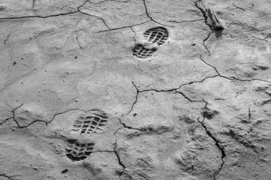 Close-up of boot prints on cracked dry clay surface suggesting desert exploration or adventure. Monochrome image capturing rugged terrain and resilience of nature in harsh conditions. clipart