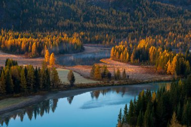 Altai dağlarındaki nefes kesici sonbahar manzarası canlı yapraklar ve huzurlu nehir yansıması. Sonbaharda sıcacık renkleri ve huzurlu atmosferiyle güzelliği yakalar..