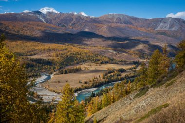 Görkemli Altai dağları sonbaharda canlı renkler ve kıvrımlı nehirlerle vadiden akıyor. Çıtır çıtır açık gökyüzü manzaranın doğal güzelliğini arttırır..