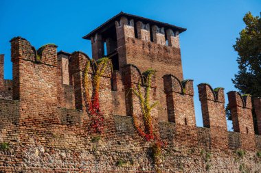 Verona 'nın tarihi tuğla duvarı berrak mavi gökyüzünün altında canlı sonbahar sarmaşıklarıyla kaplı..
