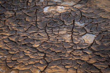 Kuru çatlamış toprağın dokusu zengin toprak tonlarını ve soyut desenleri yakalıyor, saf güzelliği ve iklim değişikliğinin etkilerini sergiliyor..