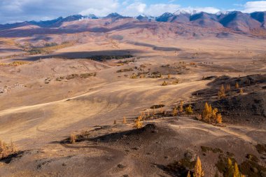 Altai 'deki dağ manzarası kayan tepeleri, sarı ağaçları ve görkemli sıraları gösteriyor..