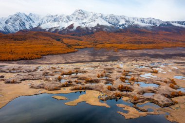 Altai bölgesinde sonbahar manzarası portakal ormanı, karlı dağlar ve sakin göller vardır. Saf doğa..