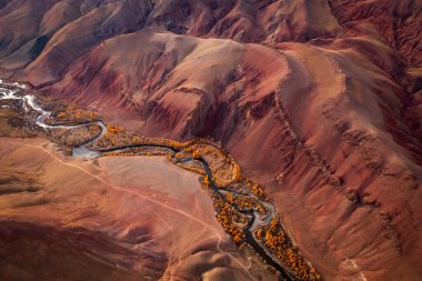 Altai Dağları 'ndaki kırmızı ve turuncu tepelerin dolambaçlı bir nehri gösteren hava görüntüleri. Gerçeküstü manzara, eşsiz erozyon desenleriyle Mars 'ı andırıyor. Canlı sonbahar renkleri pitoresk bir sahne yaratıyor..