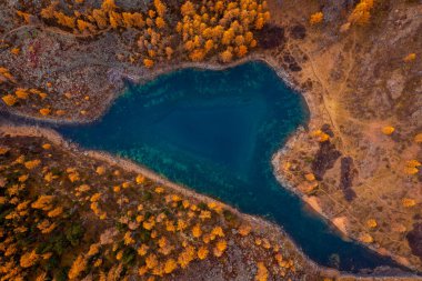 Renkli sonbahar ağaçları ve patikalarla çevrili kalp şeklinde bir turkuaz gölün havadan bakış açısı, doğanın güzelliklerini yakalıyor..