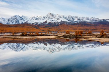 Sakin sonbahar manzarası, altın ağaçlar, karlı zirveler, ve sakin gölün mükemmel yansıması.