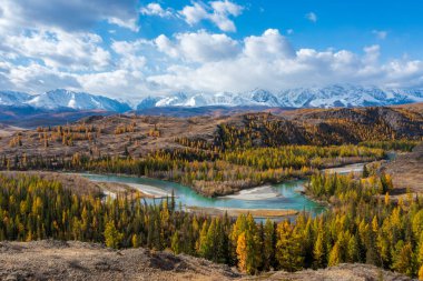 Sonbaharda Altai dağlarının renkli ormanları, dolambaçlı nehirleri ve berrak gökyüzünü gösteren manzarası..