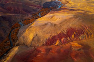 Kıvrımlı nehir ve ormanı olan kırmızı ve turuncu tepelerin canlı hava manzarası. Altai Dağları 'ndaki dramatik sonbahar manzarası renkli erozyon desenleri ve eşsiz doğal dokular sergiliyor..