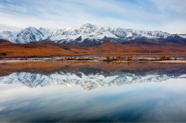 Altai 'deki sonbahar ormanıyla çevrili sakin gölde karla kaplı dağların manzarası..