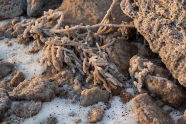 Tuz ve mineral oluşumları kayaları ve dalları kaplayarak dokulu ve doğal bir manzara yaratır..