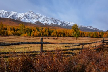 Kırsal kesimde, kırsal bir çit, altın sonbahar ormanı ve güneşli bir günde görkemli karlı dağlar var. Sakin çevre ve doğal güzellik davetkar bir atmosfer yaratır..