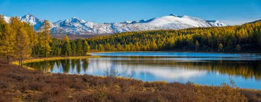 Scenic autumn landscape with calm lake reflecting dense yellow forest and snowy peaks. clipart