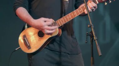 Sahnede ustaca çalan bir müzisyen. Detaylı bir şekilde kaydedilmiş akustik bir gitar çalıyor.