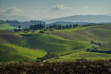 Yuvarlanan kır tepelerinde bir çiftlik evi ve selvi ağaçları huzur ve sükuneti çağrıştırıyor..