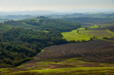 Yumuşak güneş ışığı altında yeşil tarlaları ve ormanları olan yuvarlanan tepelerin manzarası. Resimli panorama.
