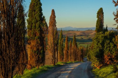 Gün batımında manzaralı toprak bir yol boyunca uzanan selvi ağaçları, yuvarlanan Toskana kırsalları doğal güzellik ve sükunetin nefes kesici bir görüntüsünü sunuyor. Huzurlu ortam seyahat için mükemmel. 