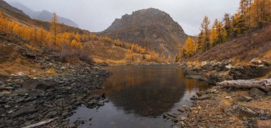 Sonbahar dağ manzarası, altın ağaçlar ve sakin göl manzarayı yansıtıyor. Doğa aşıkları için mükemmel..