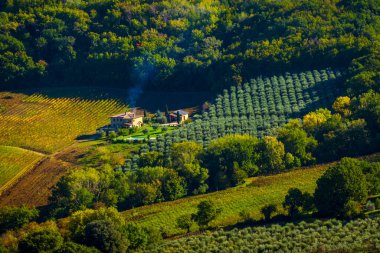 Etrafı yemyeşil zeytinlikler ve canlı tepelerle çevrili, huzurlu kırsal huzur ve tarımsal güzellik gösteren kırsal bir çiftlik evi..