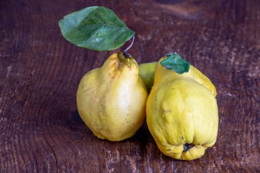 Koyu ahşap üzerinde çiğ ayva