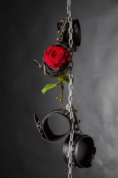 leather cuffs and a rose on black