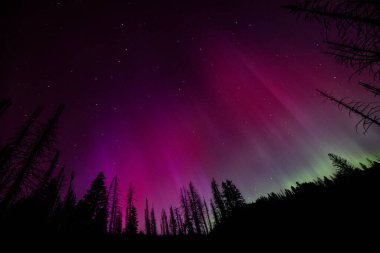 Güney Idaho semalarında renkli aurora