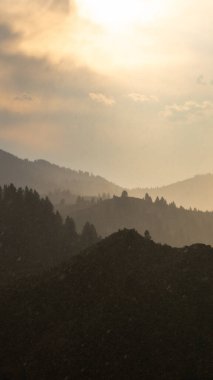 Güneşin doğuşunda süzülen sisli dağların sakin manzarası, yumuşak eğimli bir gökyüzüne karşı siluetli ağaçlar. Huzuru ve doğal güzelliği yakalar..