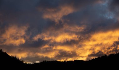 Canlı turuncu bulutların gökyüzünü aydınlattığı dramatik bir günbatımının nefes kesici manzarası. Siluetli orman ufuk çizgisinde, akşam ışıklarına karşı çarpıcı bir kontrast oluşturuyor.