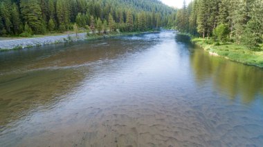 Huzurlu bir nehir, canlı çam ağaçları ve dingin yollarla çevrili gür bir orman ortamının içinden yavaşça akar. Huzur ve doğal güzelliği çağrıştırır..