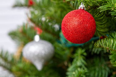 Bir Noel ağacına asılı kırmızı ve gümüş bir süs. Ağaç yeşil yapraklarla dolu ve süsler dallardan sarkmış.
