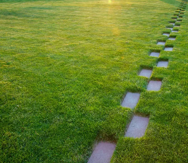 Yeşillik bir arazide bir patika kesilir. Yol küçük taşlardan yapılmıştır ve otlarla kaplıdır. Çimenler kısa ve alan iyi korunuyor. Yol bir yere çıkıyor gibi görünüyor.